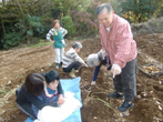 おいもさん